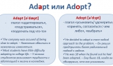 Как правильно: Adapt vs. adopt