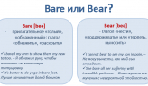 Как правильно: Bare или Bear