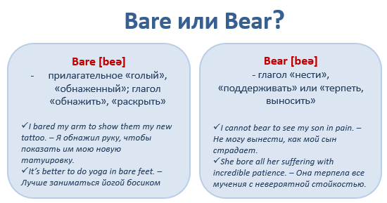 Английские слова, которые мы путаем: Bare vs. Bear