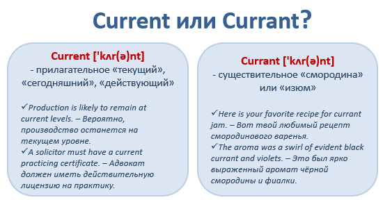 Английские слова, которые мы путаем: Current vs. Currant
